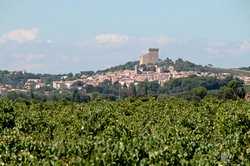 chateauneufdupape